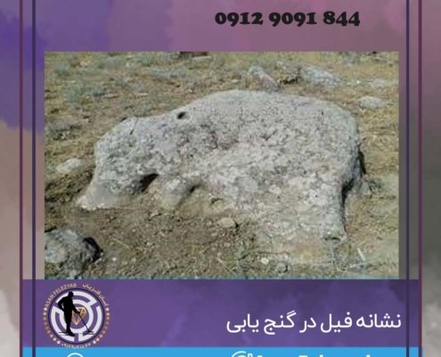 نشانه فیل دفینه یابی