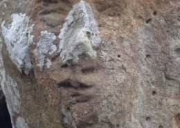 رمز گشایی در گنج یابی