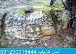 نشانه جوغن تک