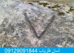 نشانه وی