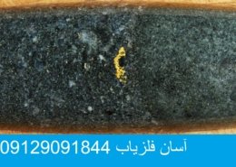 پودز طلا