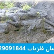 نماد گنج نماد آفتاب پرست