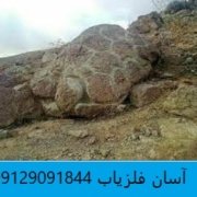 حیوانات تخم گذار