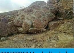 حیوانات تخم گذار