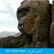 میمون