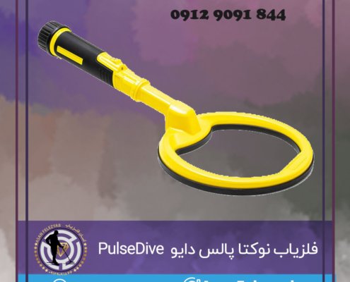 فلزیاب نوکتا پالس دایو Nokta PulseDive